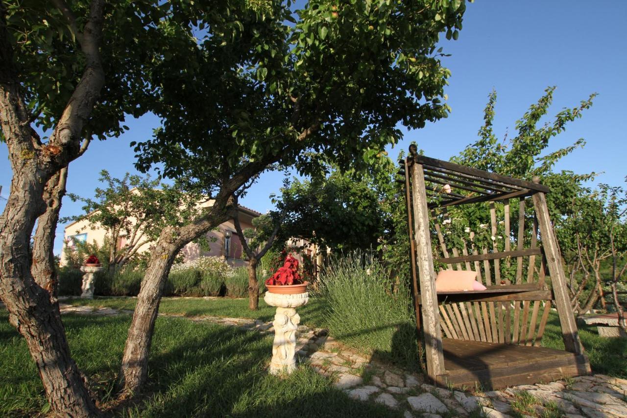 B&B La Sirenetta Diamante Εξωτερικό φωτογραφία