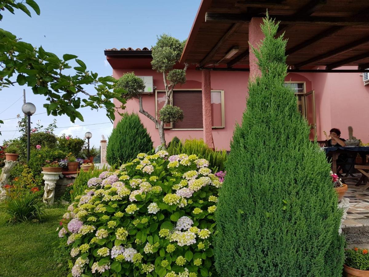 B&B La Sirenetta Diamante Εξωτερικό φωτογραφία