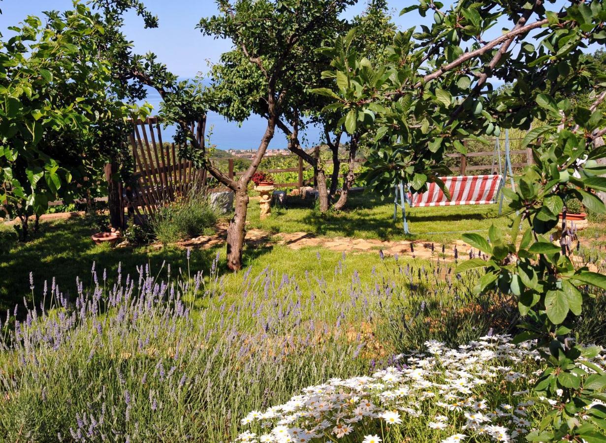 B&B La Sirenetta Diamante Εξωτερικό φωτογραφία