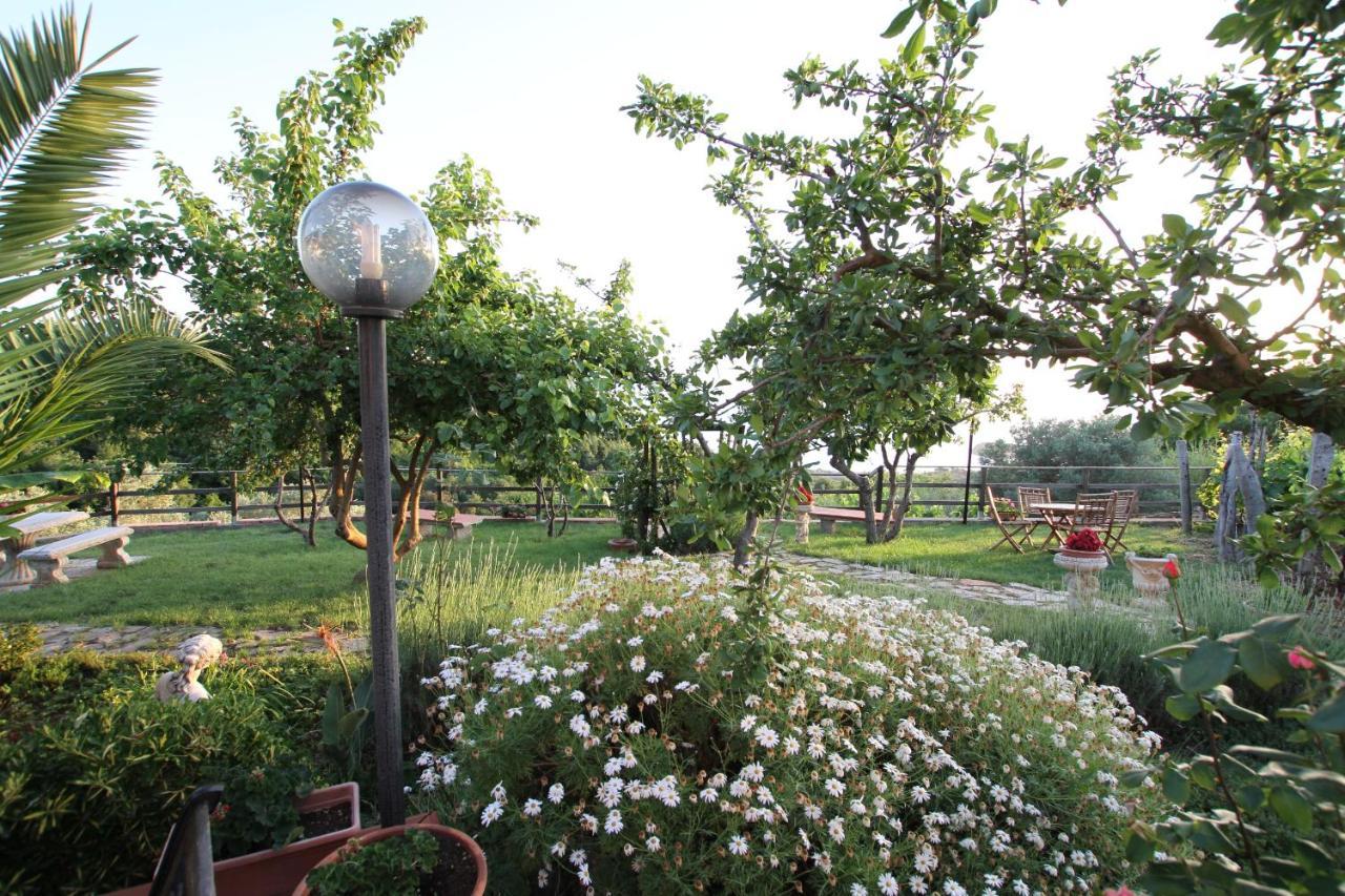 B&B La Sirenetta Diamante Εξωτερικό φωτογραφία