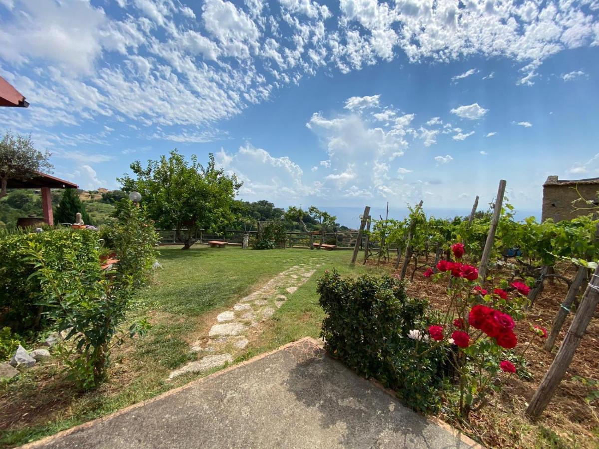B&B La Sirenetta Diamante Εξωτερικό φωτογραφία