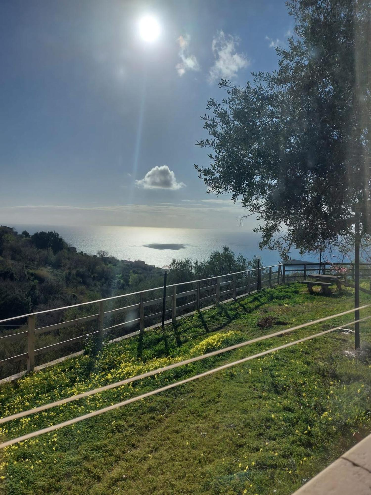 B&B La Sirenetta Diamante Εξωτερικό φωτογραφία